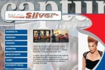 Salon Silver